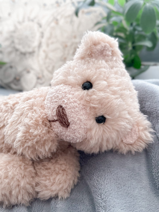 Maya the Bear