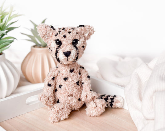 Finny the Cheetah