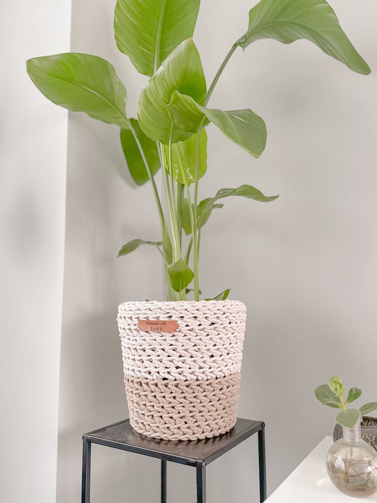 Beige Holder